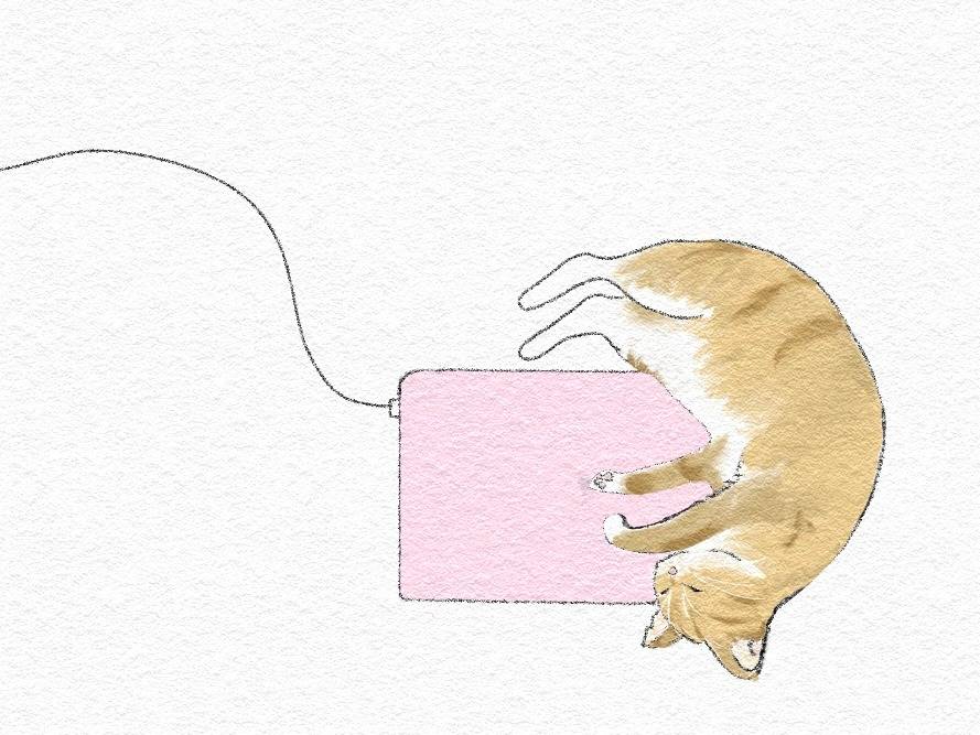 【猫の日】パソコンも使うにゃ